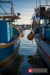 Boats moored at Marsaxlokk waiting for their next trip out to sea.